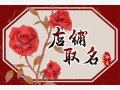 美容美发店起名高端大气 美容店时尚名字