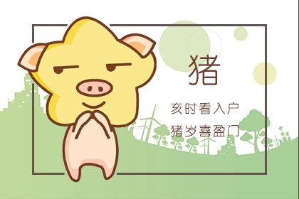 2025属猪血光之灾 属猪人2025年运势详解