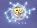 Alex 射手座本周运势详解2024.11.25-12.1