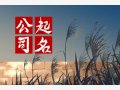 三个字的科技公司取名 有魅力的科技公司名字