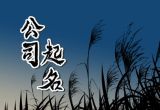 起什么公司名字大气 最新免费公司名字