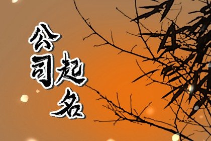 好听大气公司名字 高端公司名称