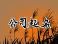 挖机工程机械公司取名 免费的机械公司名字